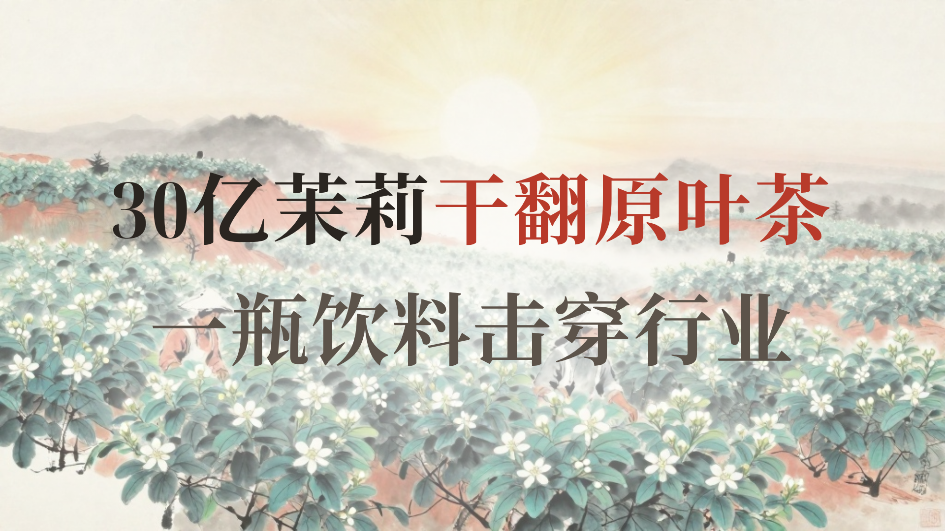 茉莉花茶为何独霸市场 成片封面